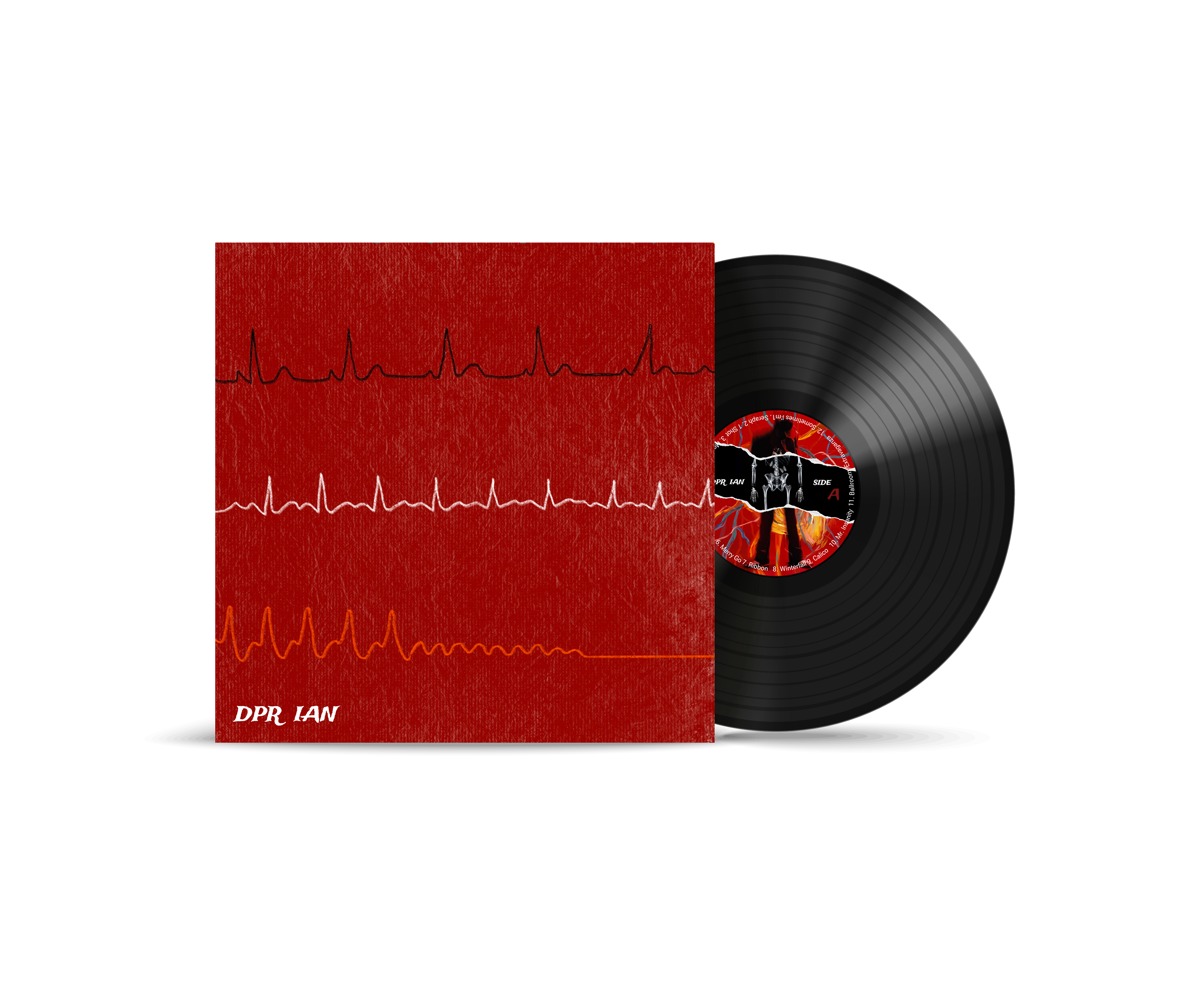 Vinyl Record inner sleeve